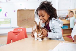 young girl with a bunny rabbit in the classroom