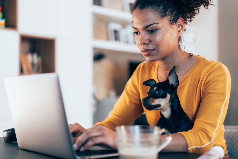 Young African-American woman sitting with her pet dog and using laptop at home